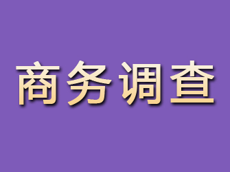 长顺商务调查